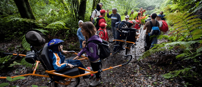 Trekking in Costa Rica at Monteverde