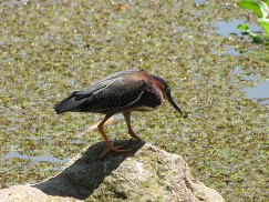   Inbio Parque guided tour