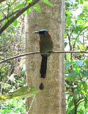 activities for  Inbio Parque guided tour