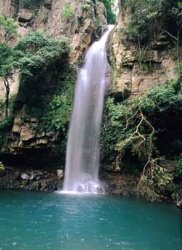 activities for  Montezuma Waterfalls and Canopy in Guanacaste