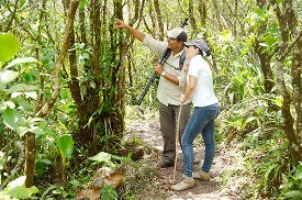 activities for  Trekking Arenal 1968 with Arenal Adventures