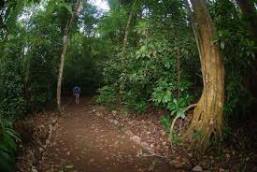 activities for  Carara National Park hike