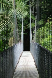   Hanging Bridges Selvatura