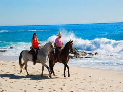 activities for  Cabo Blanco Horseback Riding tour