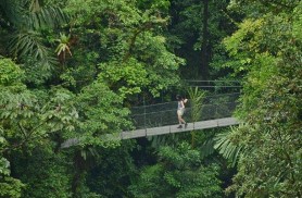   Hanging Bridges Aventuras Arenal