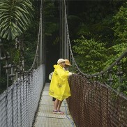 activities for  Hanging Bridges Aventuras Arenal