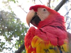 activities for  Manuel Antonio National Park Guided