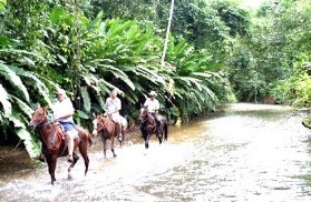 activities for  Combo Horseback Riding and Canopy King Tours