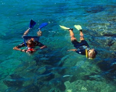 activities for  Kayaking and Snorkeling at Punta Uva Manzanillo