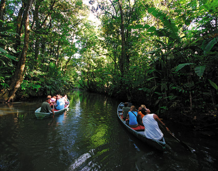 activities for  Kayak or boat to Mangroves in Manuel Antonio